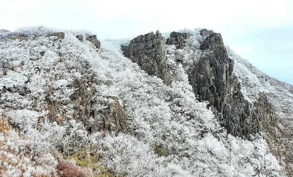 '영남알프스'로 불리는 울산시 울주군 신불산에 새하얀 눈꽃이 피아 아름다운 풍경을 연출하고 있다. (사진=이재현 사진가 제공)