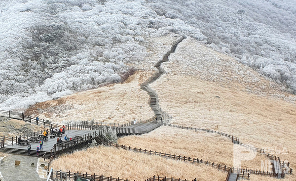 '영남알프스'로 불리는 울산시 울주군 신불산에 새하얀 눈꽃이 피아 아름다운 풍경을 연출하고 있다. (사진=이재현 사진가 제공)