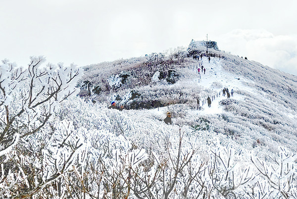 겨울왕국으로 변한 태백산 풍경. 사진=이재현 기자