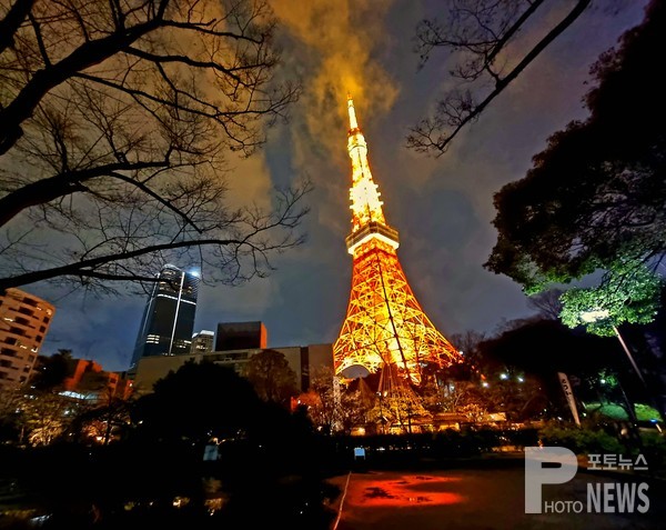 도쿄타워 야경. 사진=엄태수