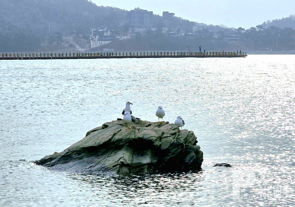 인천 옹진군 선재도 목섬에서 바라본 바다풍경. 사진=이재현 기자